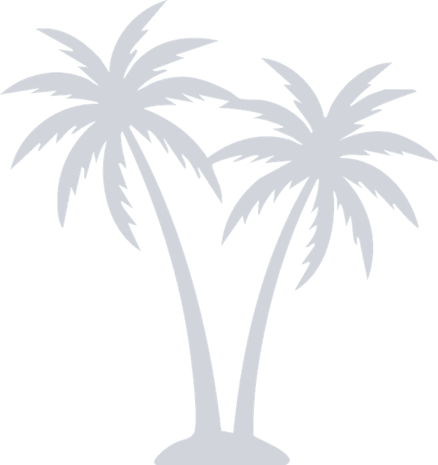 vector