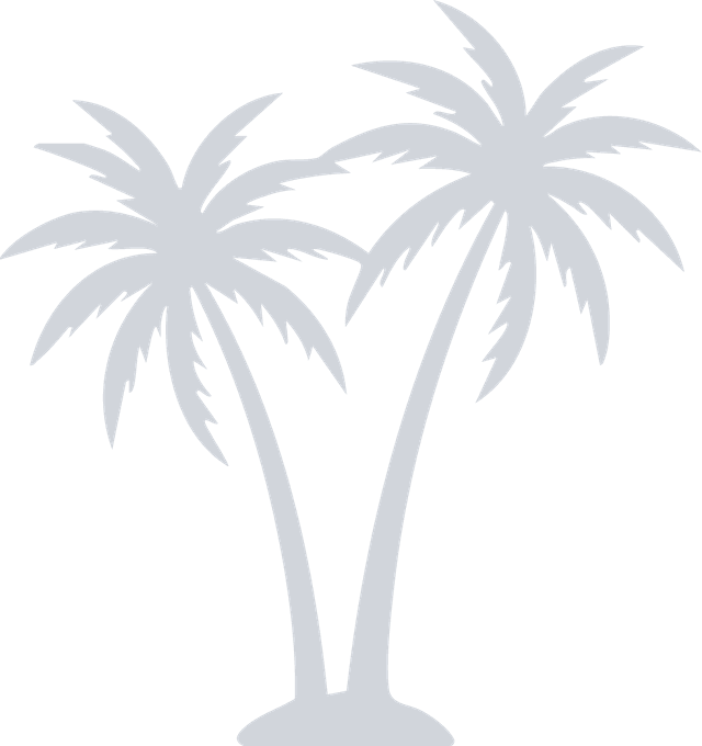 vector
