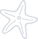 vector
