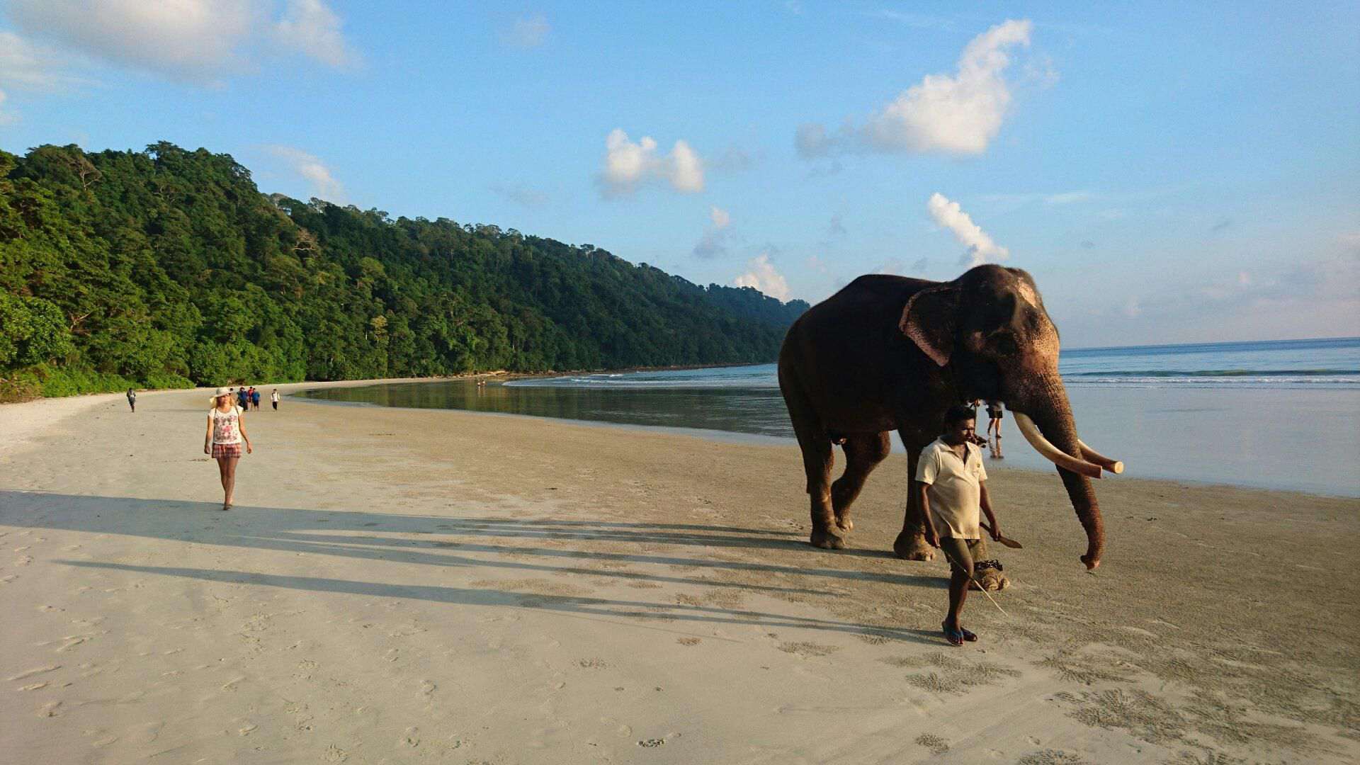 20 Amazing facts about Andaman & Nicobar Islands