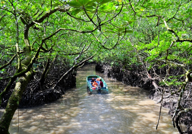 Andamans- Iconic Nature