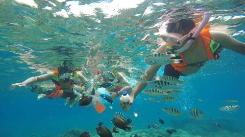 Lakshadweep Tour Packages